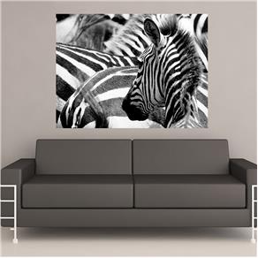 Painel Adesivo de Parede - Zebras - N3011