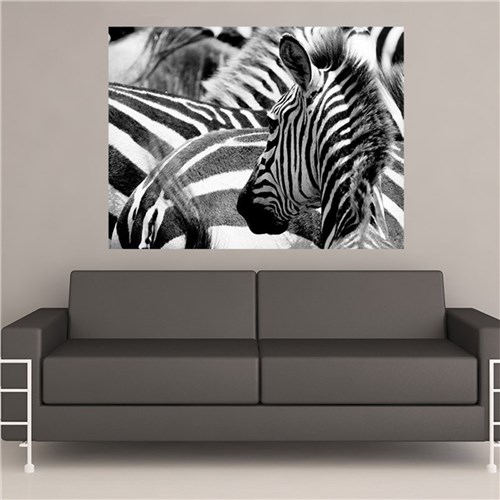 Painel Adesivo de Parede - Zebras - N3011