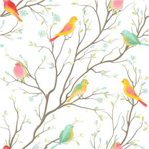 Papel de Parede Colored Birds - Branco