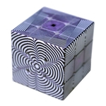 Presente Toy 3x3x3 Cube Puzzle 56 Milímetros De Erro Optical Illusion Magic Cube 3d Vision Padrão Velocidade Cubo Puzzle Intelectual Desenvolvimento