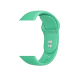 Pulseira Silicone Para Relógio Smartwatch compatível com Watch e IWOs - Menta