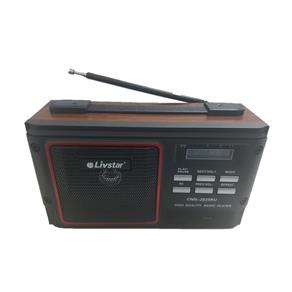 Radio Livstar Cnn-2829 Usb Sd Fm Ac/dc Bivolt