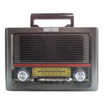 Rádio Portátil Recarregável AM/FM/SD/USB/Bluetooth D-F11