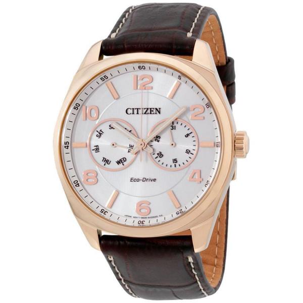 Relógio Citizen Masculino Ref: Tz20000s Ecodrive Solar Rosé