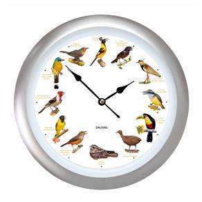 Relógio de Parede com Sons de Aves - Dalgas - Prata - 34cm