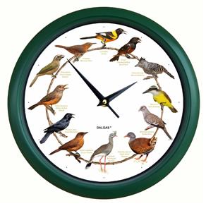 Relógio de Parede com Sons de Aves - Dalgas - Verde - 25cm