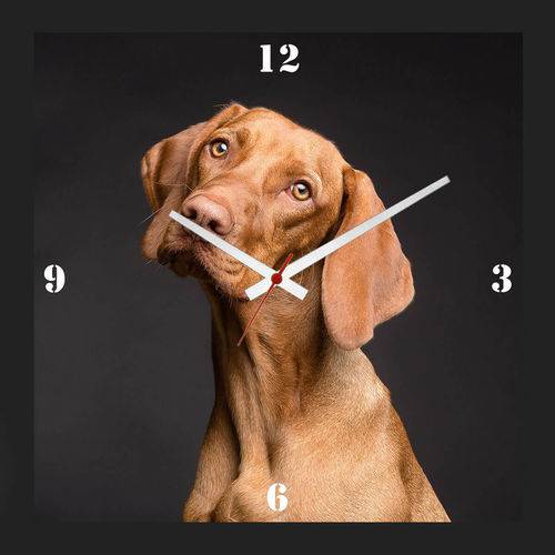 Relógio de Parede Criativo Pet Cachorro Vizsla 30x30cm