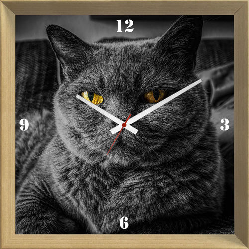 Relógio de Parede Criativo Pet Gato Cinza Chartreux de Olhos Amarelos 30x30cm