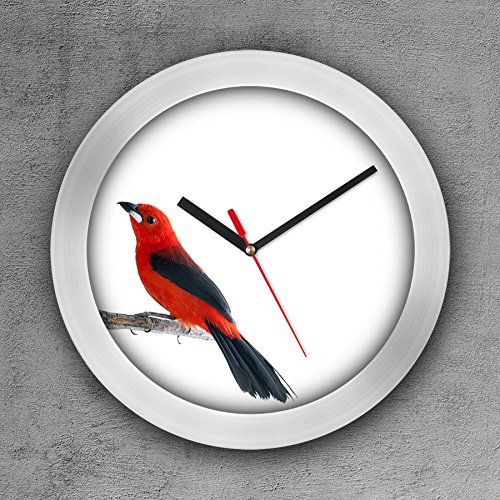 Relógio de Parede Decorativo, Criativo e Descolado | Passarinho Vermelho