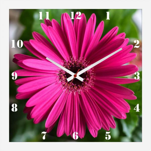 Relógio de Parede Decorativo Flor Margarida Barberton 30x30cm - Decore Pronto