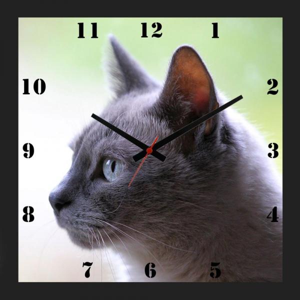 Relógio de Parede Decorativo Moldura Preta Pet Gato Cinza 30x30cm - Decore Pronto