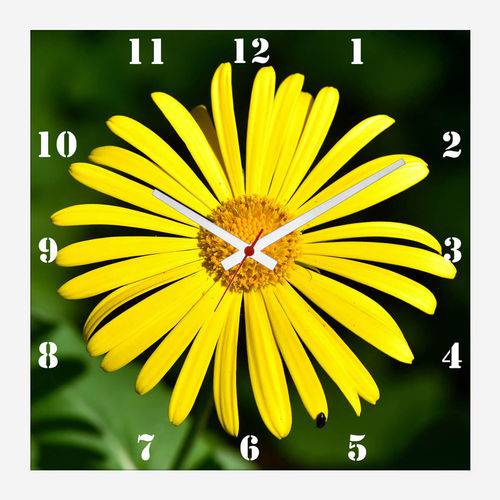 Relógio de Parede para Cozinha Flor de Primavera Doronicum 30x30cm