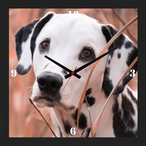Relógio de Parede Personalizado Cachorro Dálmata 30x30cm
