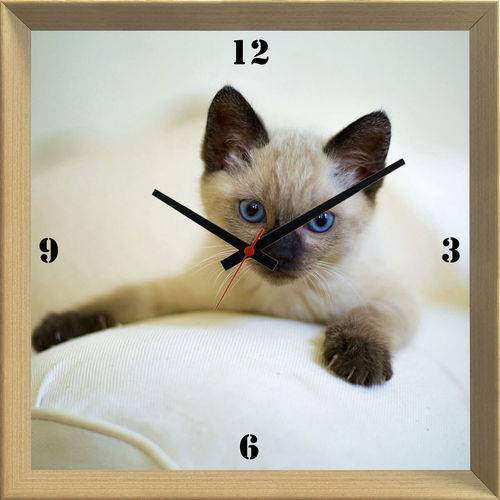 Relógio de Parede Personalizado Criativo Pet Gato Filhote 30x30cm