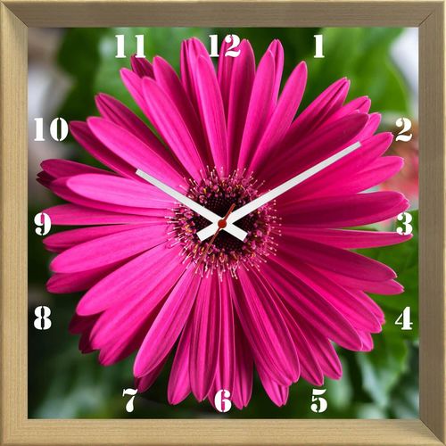 Relógio de Parede Personalizado Flor Margarida Barberton 30x30cm