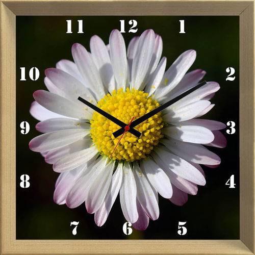 Relógio de Parede Personalizado Flor Margarida Branca 30x30cm