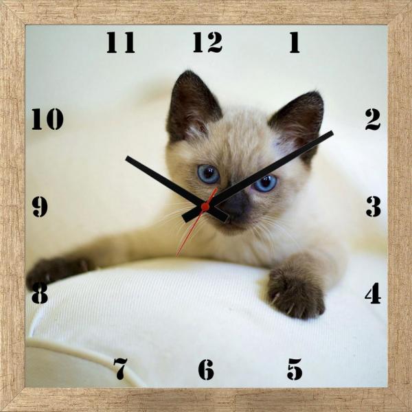 Relógio de Parede Personalizado Moldura Prata Pet Gatinho Filhote 30x30cm - Decore Pronto