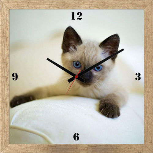 Relógio de Parede Personalizado Moldura Prata Pet Gatinho Filhote 30x30cm