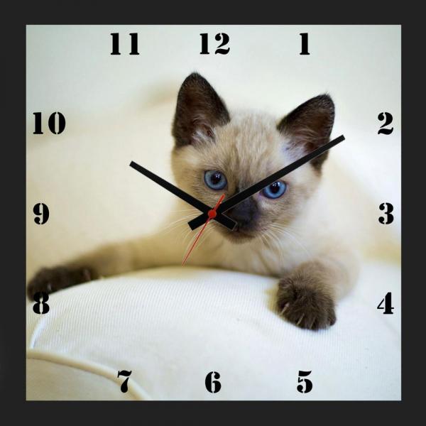 Relógio de Parede Personalizado Moldura Preta Pet Gatinho Filhote 30x30cm - Decore Pronto
