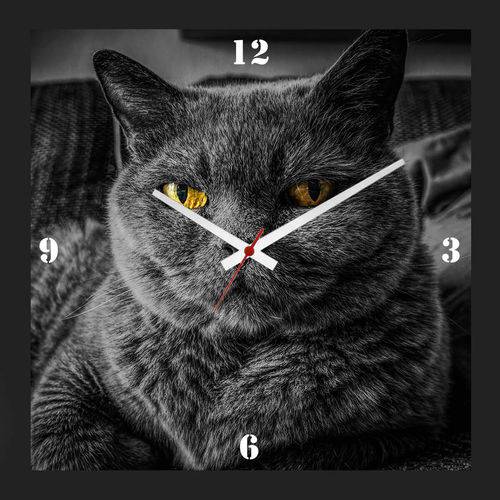Relógio de Parede Personalizado Moldura Preta Pet Gato Chartreux 30x30cm