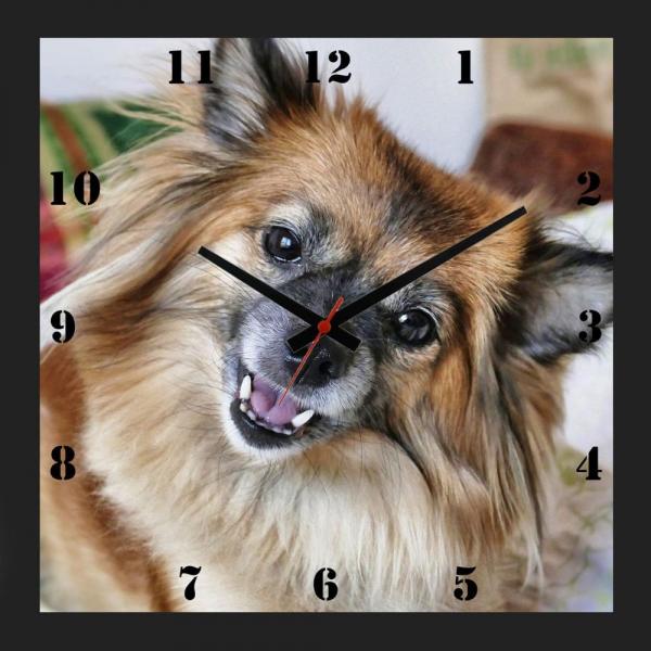 Relógio de Parede Personalizado Pet Cachorro Chihuahua 30x30cm - Decore Pronto