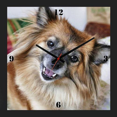 Relógio de Parede Personalizado Pet Cachorro Chihuahua 30x30cm
