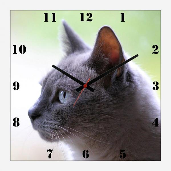 Relógio de Parede Personalizado Pet Gato Cinza 30x30cm - Decore Pronto