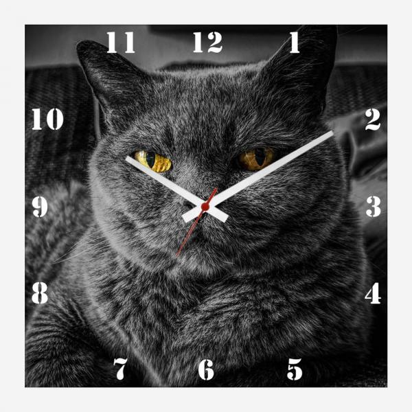 Relógio de Parede Personalizado Pet Gato Cinza Chartreux 30x30cm - Decore Pronto