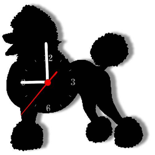 Relógio de Parede Poodle