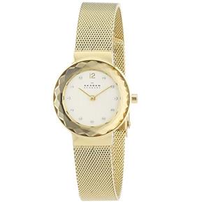 Relogio Feminino Skagen 456Sgsg4Xi