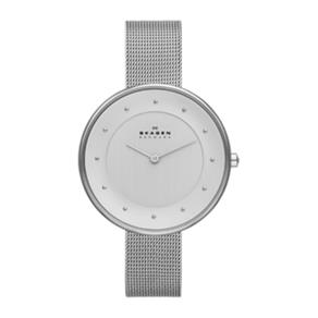 Relogio Feminino Skagen Skw2140Z