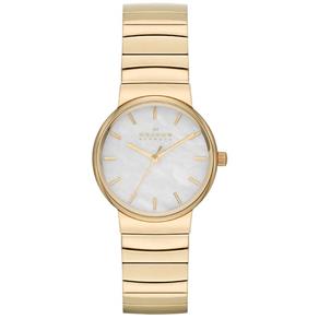 Relógio Feminino Skagen Skw2199/Z