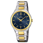 Relógio Festina Feminino Aço Prateado e Dourado - F20245/3