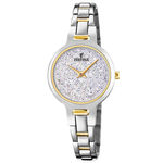 Relógio Festina Feminino Aço Prateado e Dourado - F20380/1