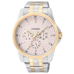 Relógio Masculino Citizen TZ20395B