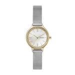 Relógio Skagen Anita Feminino Dourado SKW2866/1DN