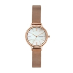 Relógio Skagen Anita Feminino Rosé SKW2865/1JN