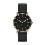 Relógio Skagen Dusk Color Story Marrom SKW6401/8PN