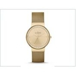 Relógio Skagen Feminino Ancher - Skw2129/Z