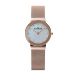 Relógio Skagen Feminino Bicolor Freja - 358srrd/4bn