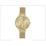 Relógio Skagen Feminino Dourado Skw2313/z