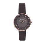 Relógio Skagen Feminino Gitte - Skw2613/0cn