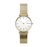 Relógio Skagen Feminino Hald Dourado - SKW2713/1DN