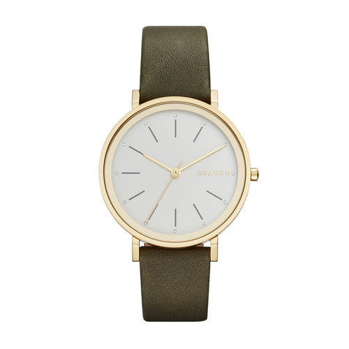 Relógio Skagen Feminino Hald - Skw2491/2bi