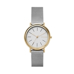 Relógio Skagen Feminino Hald - SKW2508/4BN