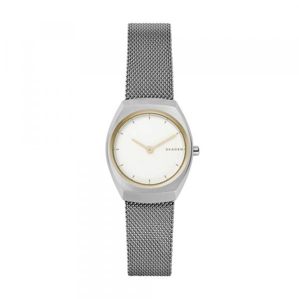 Relógio Skagen Feminino Prata Asta - SKW2654/1BN