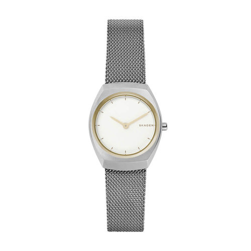 Relógio Skagen Feminino Prata Asta - Skw2654/1bn