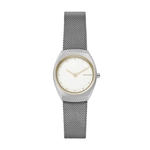 Relógio Skagen Feminino Prata Asta - SKW2654/1BN