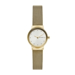 Relógio Skagen Freja Feminino - SKW2717/1DN