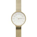 Relógio Skagen Slim SKW2722/1DN